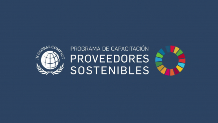 Anova finaliza con éxito el programa de capacitación «Proveedores Sostenibles» en colaboración con la ONU