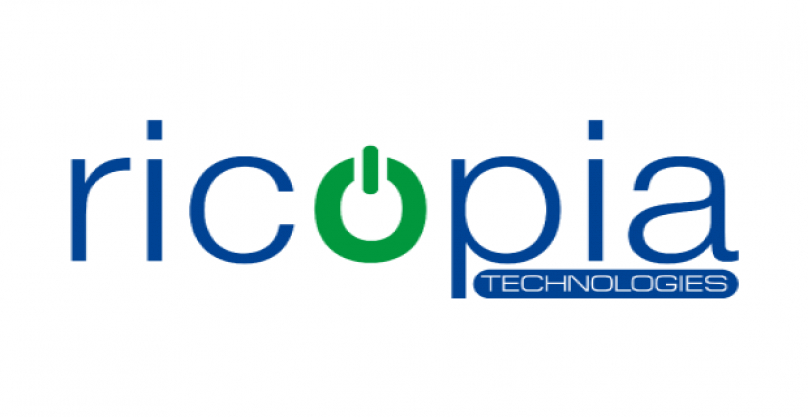 Anova y Ricopia facilitan la gestión e implantación del programa de ayudas a la PYMES “Kit Digital”